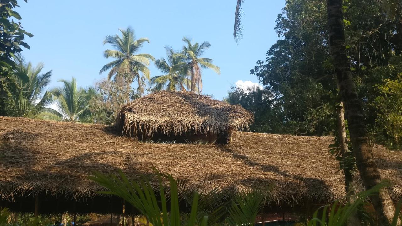 Kings Villa Resort Palolem Exterior photo